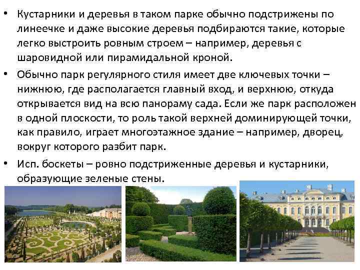  • Кустарники и деревья в таком парке обычно подстрижены по линеечке и даже