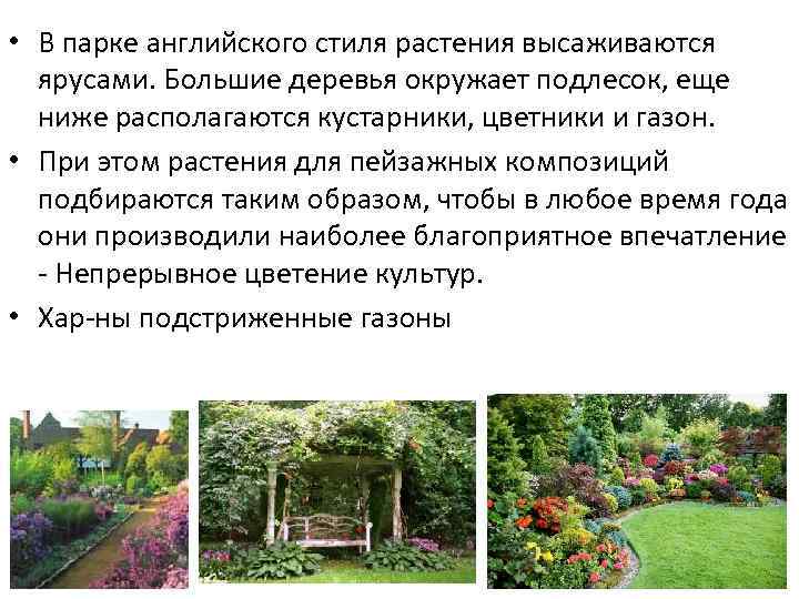  • В парке английского стиля растения высаживаются ярусами. Большие деревья окружает подлесок, еще