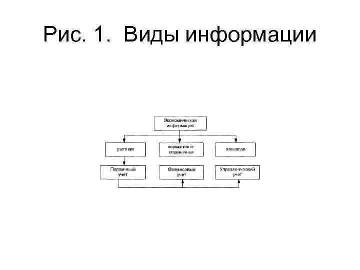 Рис. 1. Виды информации 