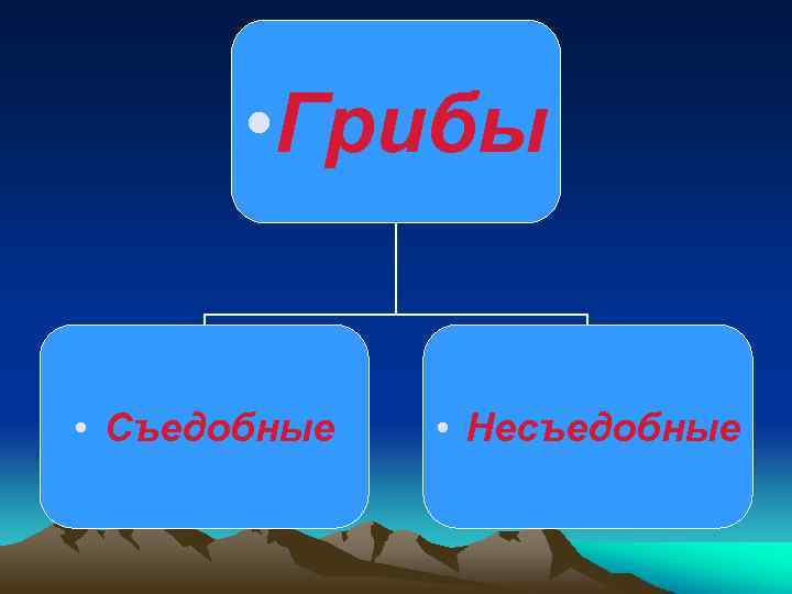  • Грибы • Съедобные • Несъедобные 