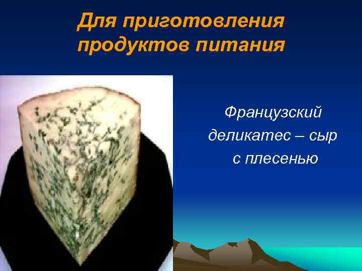 Для приготовления продуктов питания Французский деликатес – сыр с плесенью 