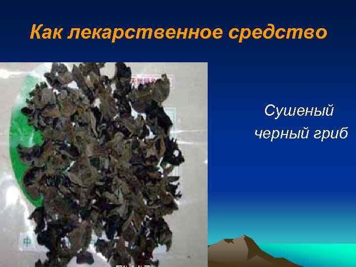 Как лекарственное средство Сушеный черный гриб 