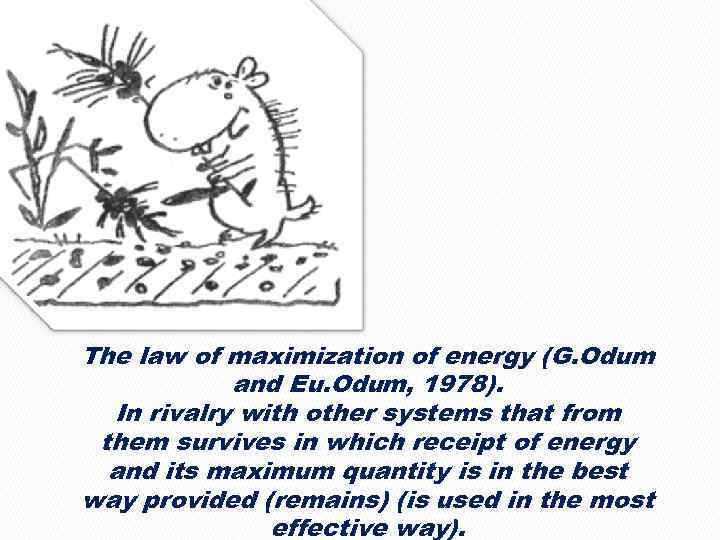 The law of maximization of energy (G. Odum and Eu. Odum, 1978). In rivalry