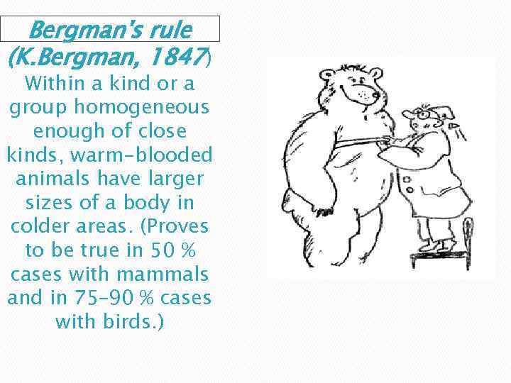 Bergman's rule (K. Bergman, 1847) Within a kind or a group homogeneous enough of