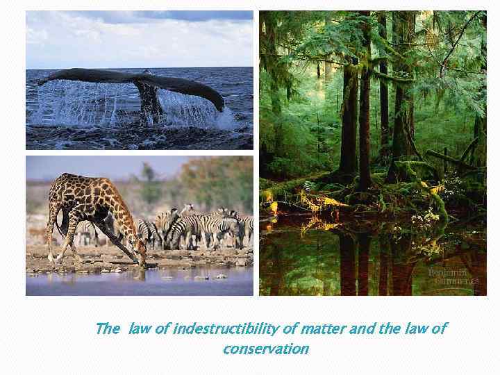 The law of indestructibility of matter and the law of conservation 