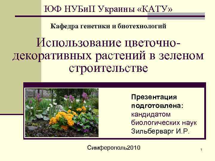 ЮФ НУБи. П Украины «КАТУ» Кафедра генетики и биотехнологий Использование цветочнодекоративных растений в зеленом