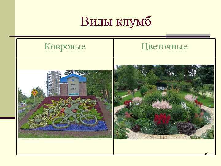 Виды клумб Ковровые Цветочные 15 