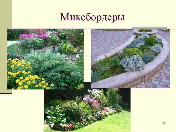 Миксбордеры 27 