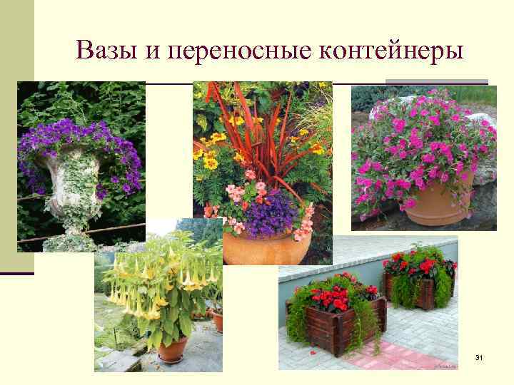 Вазы и переносные контейнеры 31 