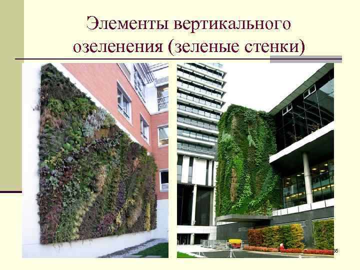 Элементы вертикального озеленения (зеленые стенки) 35 