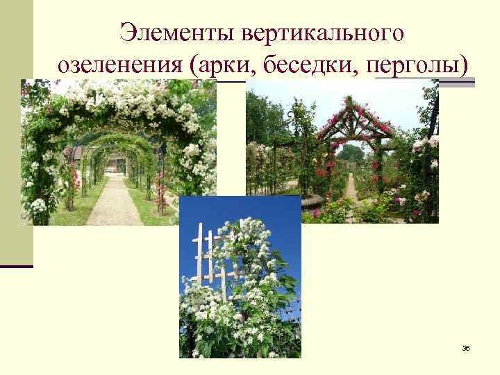 Элементы вертикального озеленения (арки, беседки, перголы) 36 