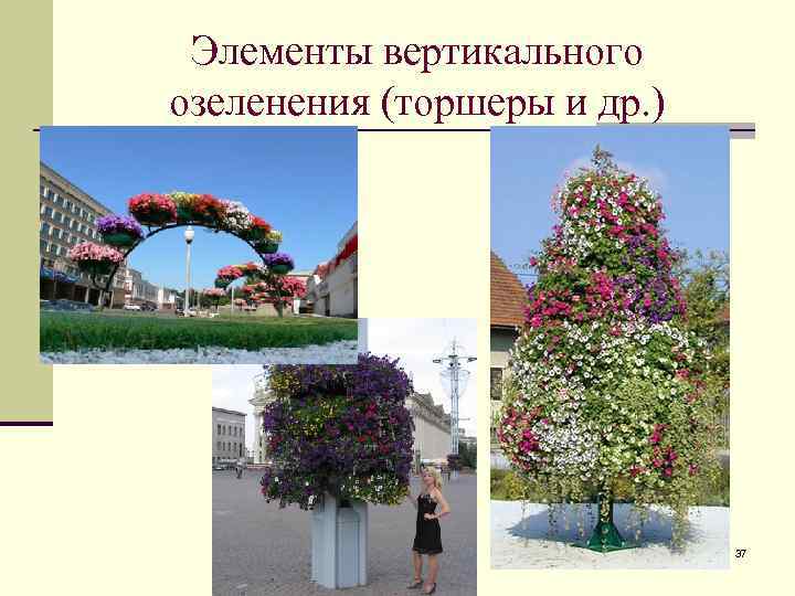 Элементы вертикального озеленения (торшеры и др. ) 37 