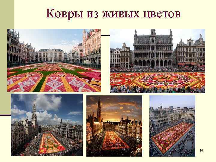 Ковры из живых цветов 39 