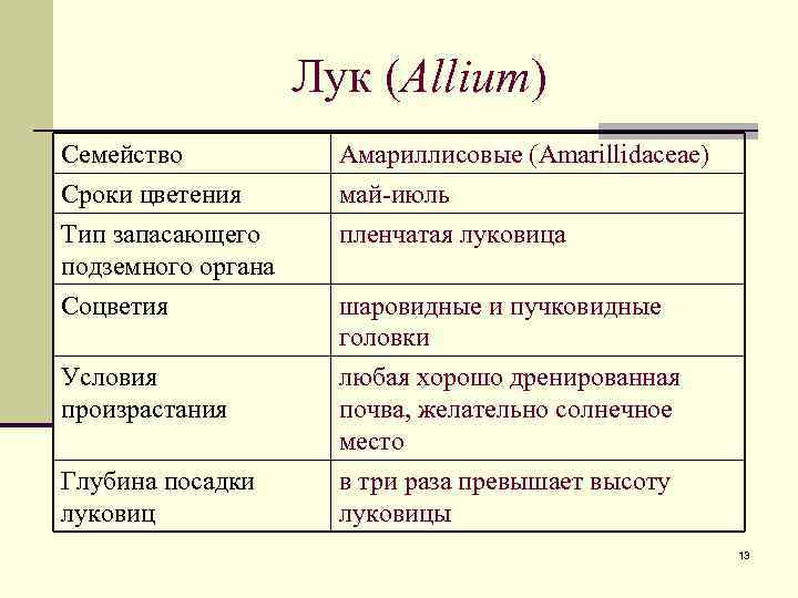 Лук (Allium) Семейство Сроки цветения Тип запасающего подземного органа Амариллисовые (Amarillidaceae) май-июль пленчатая луковица