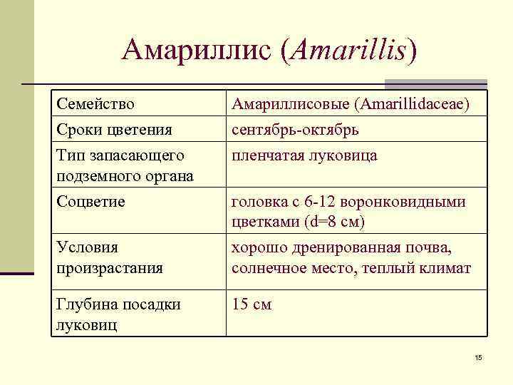 Амариллис (Amarillis) Семейство Сроки цветения Тип запасающего подземного органа Амариллисовые (Amarillidaceae) сентябрь-октябрь пленчатая луковица