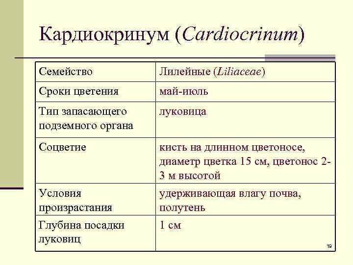 Кардиокринум (Cardiocrinum) Семейство Лилейные (Liliaceae) Сроки цветения май-июль Тип запасающего подземного органа луковица Соцветие