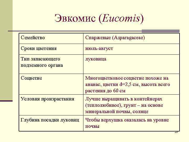 Эвкомис (Eucomis) Семейство Спаржевые (Asparagaceae) Сроки цветения июль-август Тип запасающего подземного органа луковица Соцветие