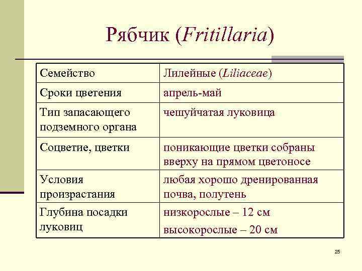 Рябчик (Fritillaria) Семейство Лилейные (Liliaceae) Сроки цветения апрель-май Тип запасающего подземного органа чешуйчатая луковица