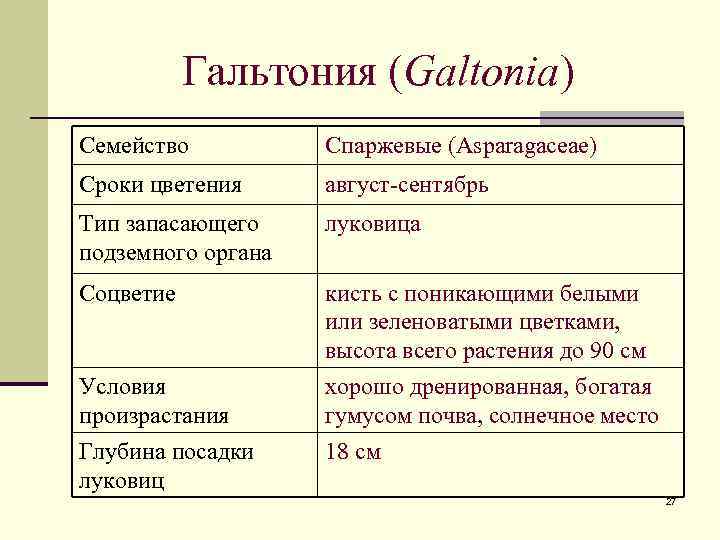 Гальтония (Galtonia) Семейство Спаржевые (Asparagaceae) Сроки цветения август-сентябрь Тип запасающего подземного органа луковица Соцветие