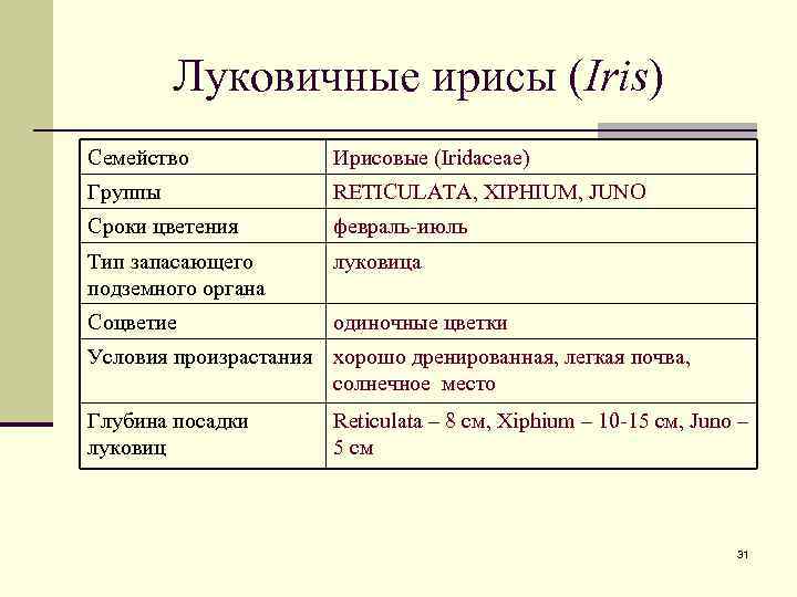 Луковичные ирисы (Iris) Семейство Ирисовые (Iridaceae) Группы RETICULATA, XIPHIUM, JUNO Сроки цветения февраль-июль Тип