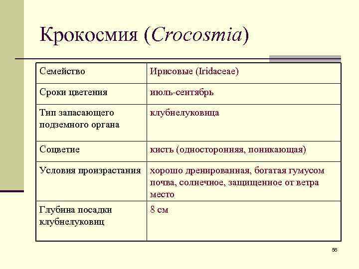 Крокосмия (Crocosmia) Семейство Ирисовые (Iridaceae) Сроки цветения июль-сентябрь Тип запасающего подземного органа клубнелуковица Соцветие