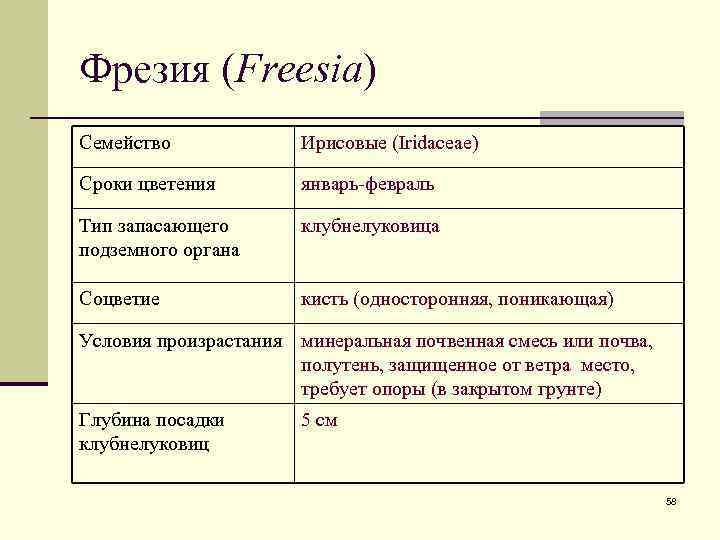 Фрезия (Freesia) Семейство Ирисовые (Iridaceae) Сроки цветения январь-февраль Тип запасающего подземного органа клубнелуковица Соцветие