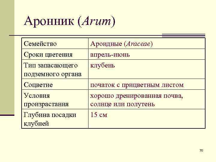 Аронник (Arum) Семейство Сроки цветения Тип запасающего подземного органа Ароидные (Araceae) апрель-июнь клубень Соцветие