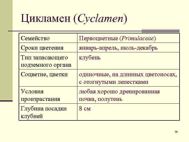 Цикламен (Cyclamen) Семейство Сроки цветения Первоцветные (Primulaceae) январь-апрель, июль-декабрь Тип запасающего подземного органа клубень