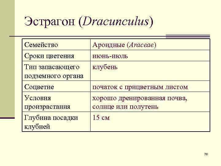 Эстрагон (Dracunculus) Семейство Сроки цветения Тип запасающего подземного органа Ароидные (Araceae) июнь-июль клубень Соцветие