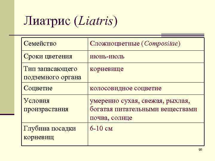 Лиатрис (Liatris) Семейство Сложноцветные (Compositae) Сроки цветения июнь-июль Тип запасающего подземного органа корневище Соцветие