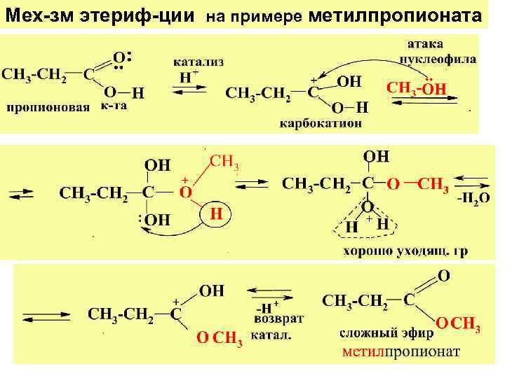 Мех-зм этериф-ции на примере метилпропионата 