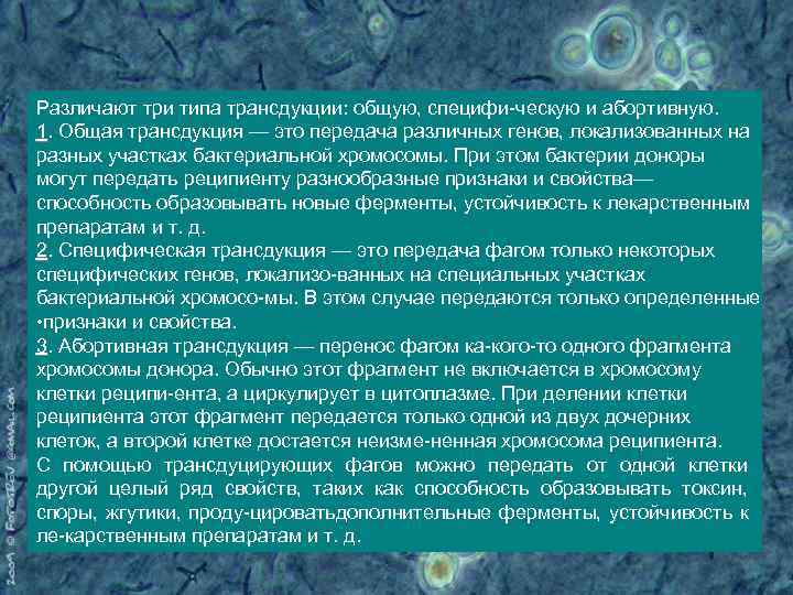 Различают три типа трансдукции: общую, специфи ческую и абортивную. 1. Общая трансдукция — это