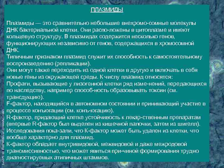 ПЛАЗМИДЫ Плазмиды — это сравнительно небольшие внехромо сомные молекулы ДНК бактериальной клетки. Они распо