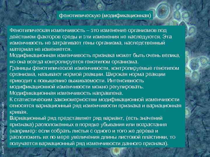 фенотипическую (модификационная) Фенотипическая изменчивость – это изменение организмов под действием факторов среды и эти