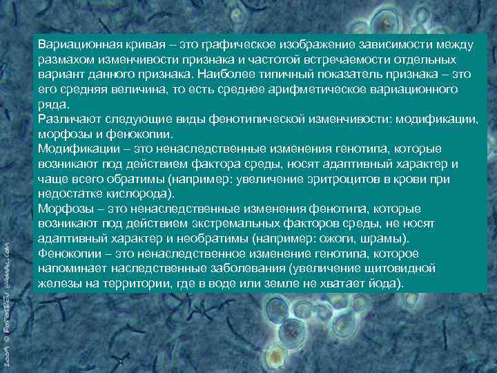 Вариационная кривая – это графическое изображение зависимости между размахом изменчивости признака и частотой встречаемости