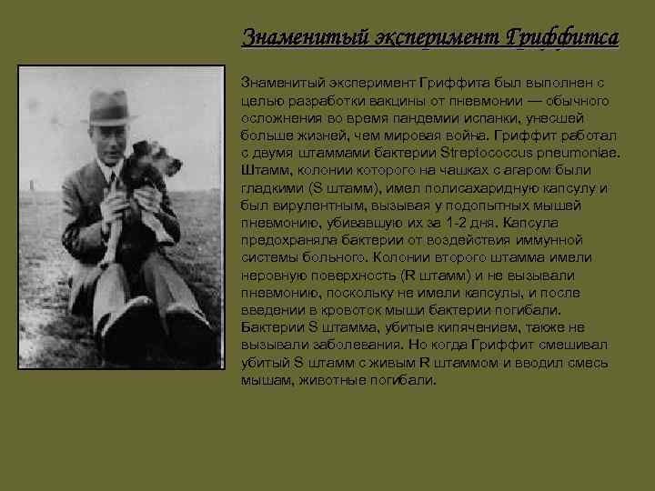 Знаменитый эксперимент Гриффитса Знаменитый эксперимент Гриффита был выполнен с целью разработки вакцины от пневмонии
