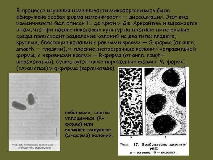 В процессе изучения изменчивости микроорганизмов была обнаружена особая форма изменчивости — диссоциация. Этот вид