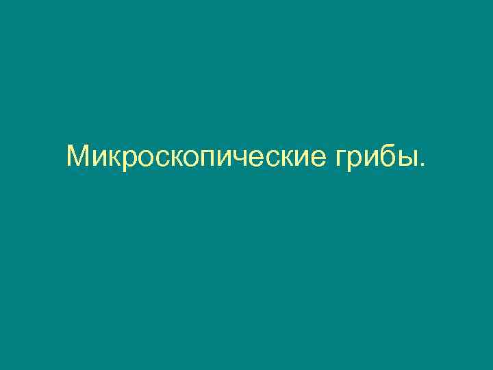 Микроскопические грибы. 