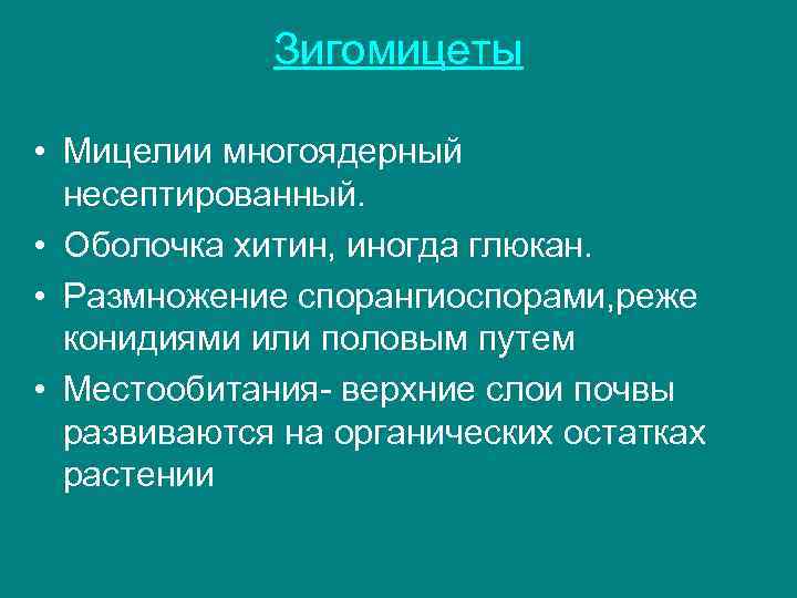 Зигомицеты • Мицелии многоядерный несептированный. • Оболочка хитин, иногда глюкан. • Размножение спорангиоспорами, реже