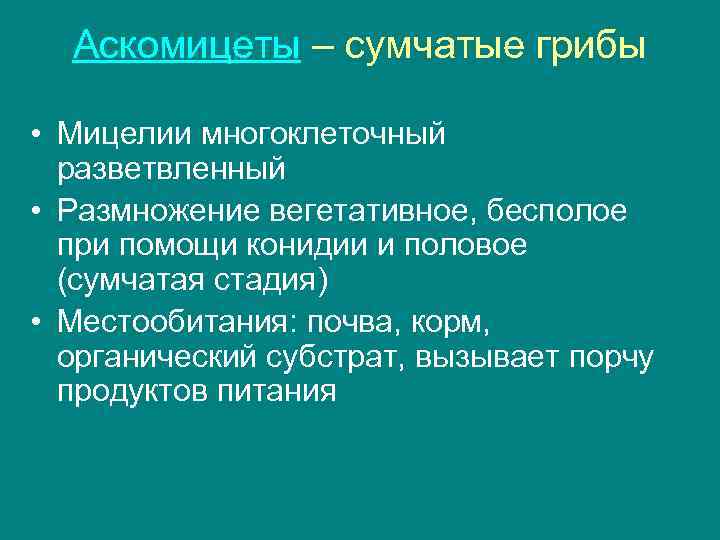 Аскомицеты – сумчатые грибы • Мицелии многоклеточный разветвленный • Размножение вегетативное, бесполое при помощи