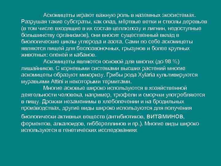 Аскомицеты играют важную роль в наземных экосистемах. Разрушая такие субстраты, как опад, мёртвые ветки