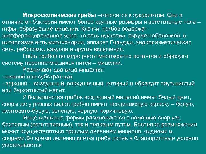 Микроскопические грибы –относятся к эукариотам. Они в отличие от бактерий имеют более крупные размеры