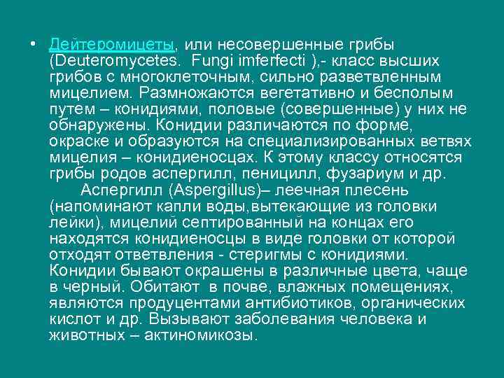  • Дейтеромицеты, или несовершенные грибы (Deuteromycetes. Fungi imferfecti ), - класс высших грибов