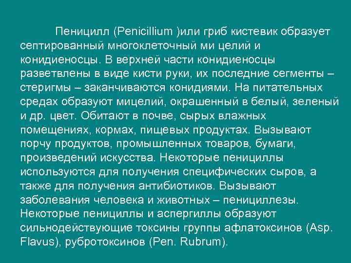 Пеницилл (Penicillium )или гриб кистевик образует септированный многоклеточный ми целий и конидиеносцы. В верхней