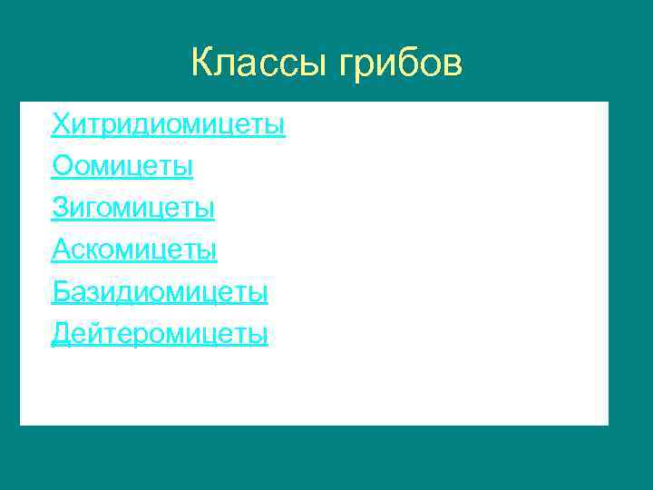 Классы грибов • • • Хитридиомицеты Оомицеты Зигомицеты Аскомицеты Базидиомицеты Дейтеромицеты 