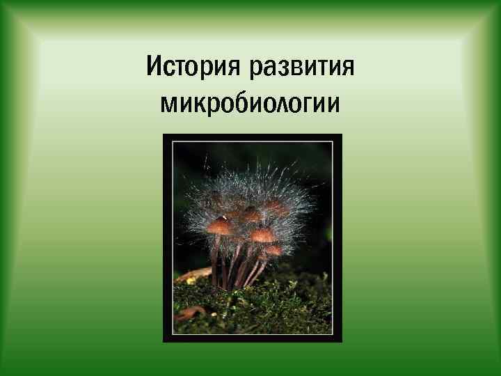 История развития микробиологии 