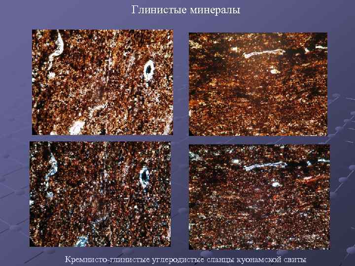 Глинистые минералы Кремнисто-глинистые углеродистые сланцы куонамской свиты 