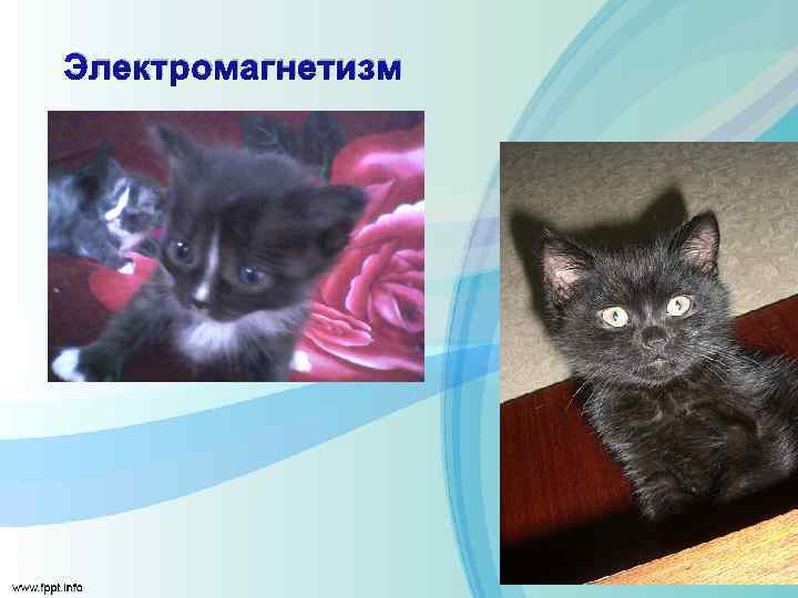 Электромагнетизм 