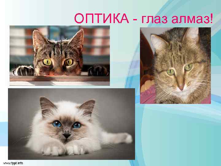 ОПТИКА - глаз алмаз! 