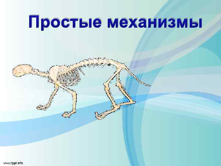 Простые механизмы 